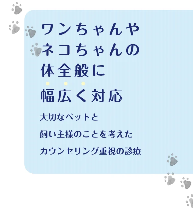 ワンちゃんやネコちゃんの体全般に幅広く対応大切なペットと飼い主様のことを考えたカウンセリング重視の診療
