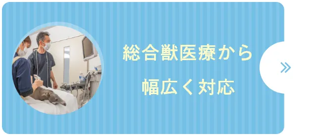 総合獣医療から幅広く対応