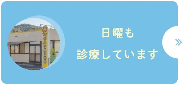日曜も診療しています