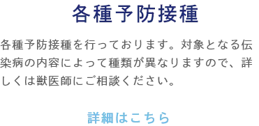 各種予防接種 各種予防接種を行っております。対象となる伝染病の内容によって種類が異なりますので、詳しくは獣医師にご相談ください。