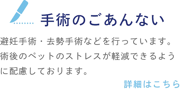 手術のごあんない 避妊手術・去勢手術などを行っています。術後のペットのストレスが軽減できるように配慮しております。