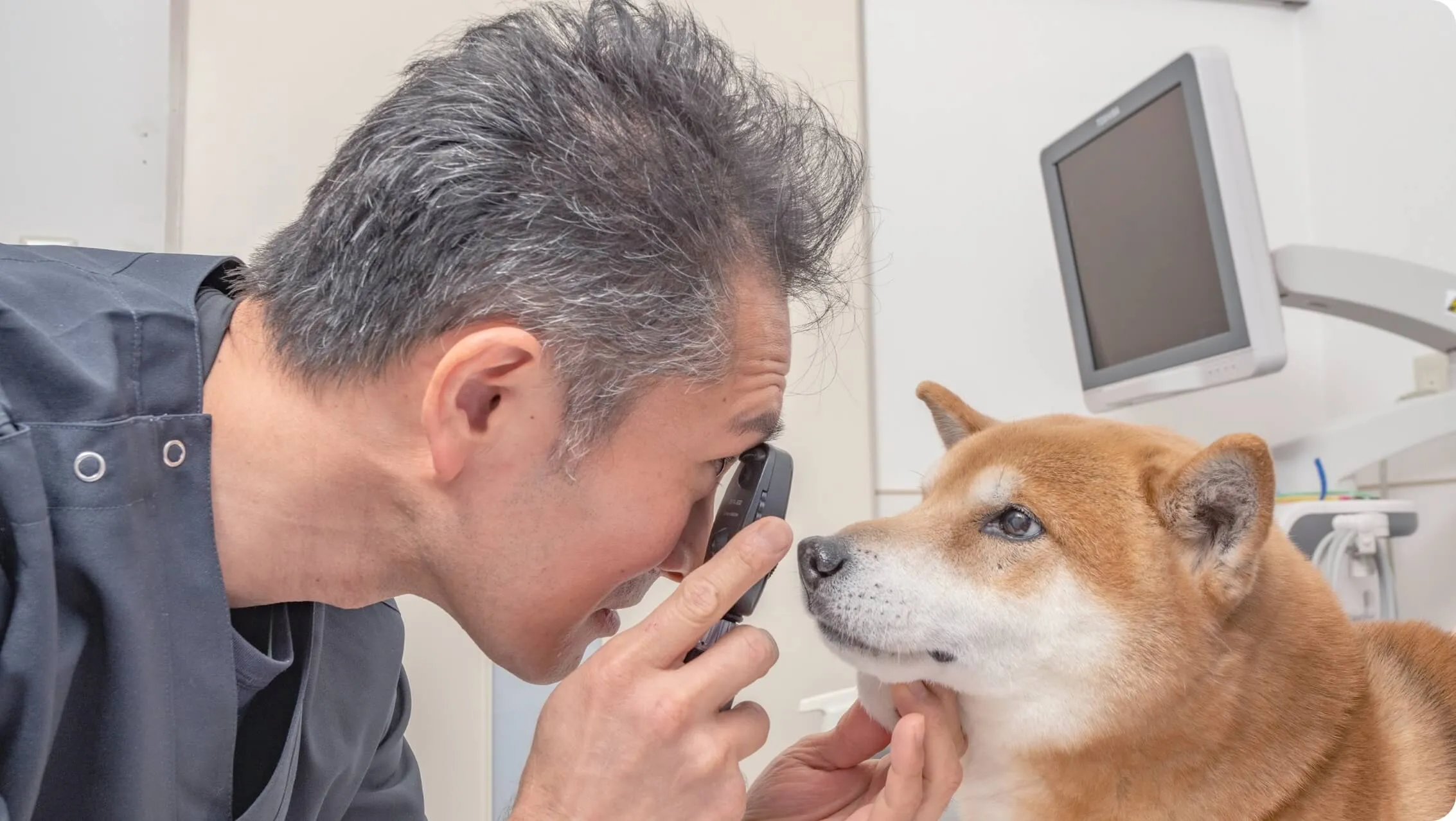 ワンちゃんやネコちゃんの体全般に幅広く対応大切なペットと飼い主様のことを考えたカウンセリング重視の診療