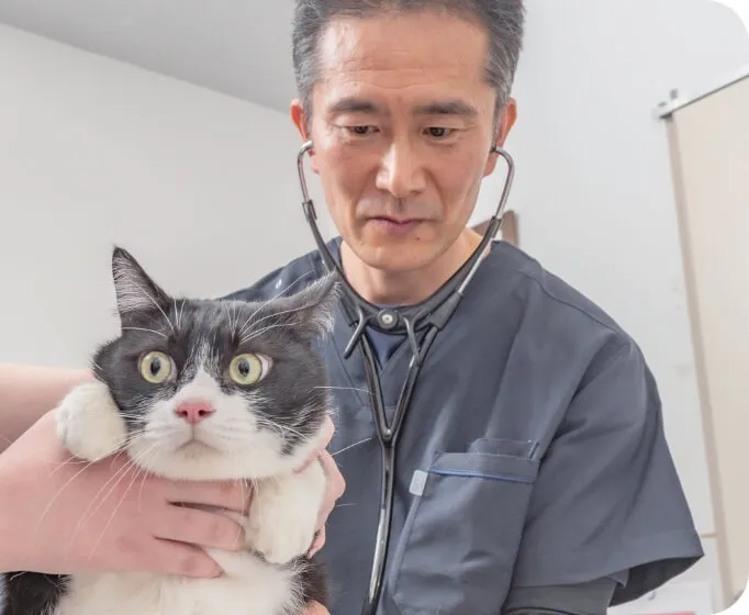 ワンちゃんやネコちゃんの体全般に幅広く対応大切なペットと飼い主様のことを考えたカウンセリング重視の診療