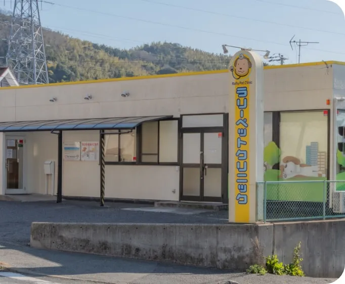 ワンちゃんやネコちゃんの体全般に幅広く対応大切なペットと飼い主様のことを考えたカウンセリング重視の診療