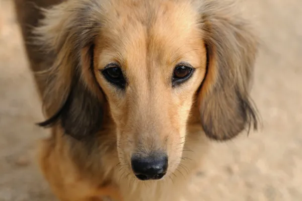 こんな症状のときは?